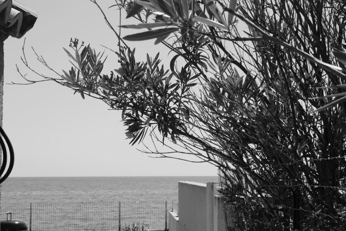 Bord de mer, pieds dans l'eau, vue panoramique Villa San-Nicolao Exterior foto