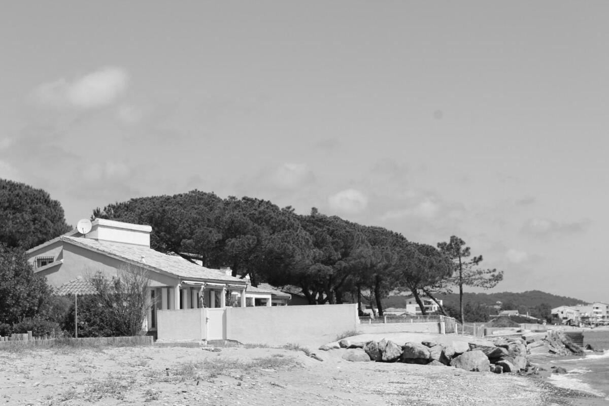 Bord de mer, pieds dans l'eau, vue panoramique Villa San-Nicolao Exterior foto